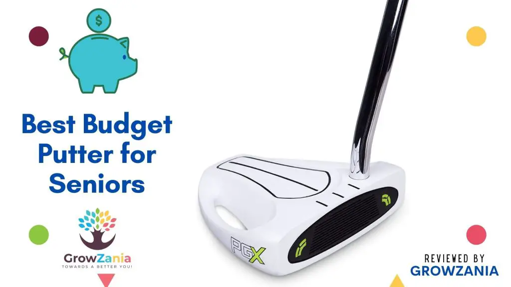 Best Budget Putter for Seniors: Pinemeadow Golf PGX (Stand) Up Putter