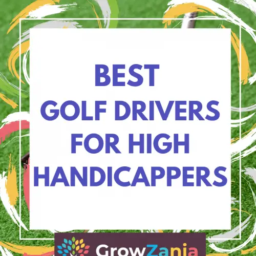 The Best Golf Irons for Mid Handicappers (Unbiased for 2021) GrowZania