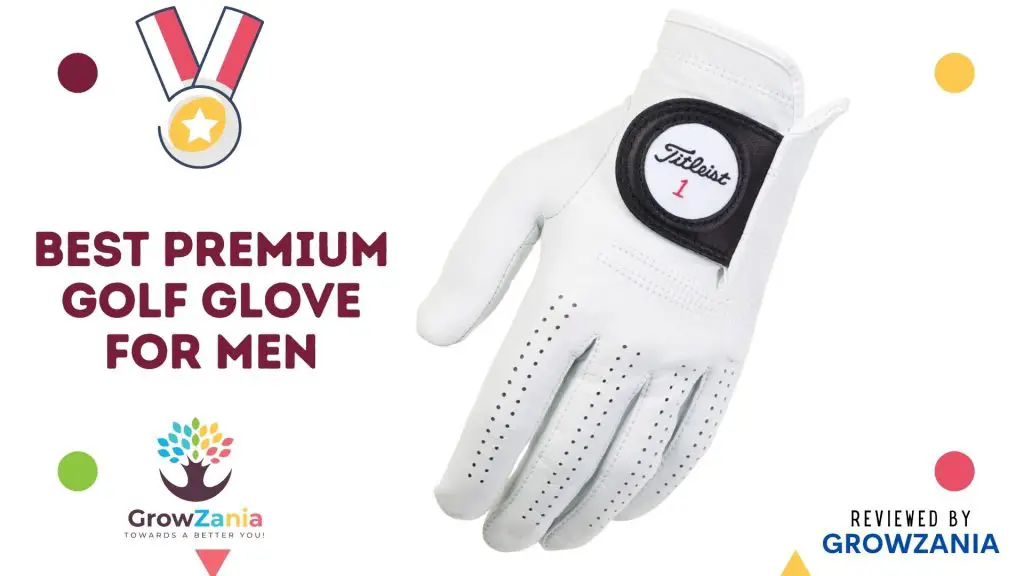 Best Premium Men's Golf Glove: Titleist Players Men's Golf Glove