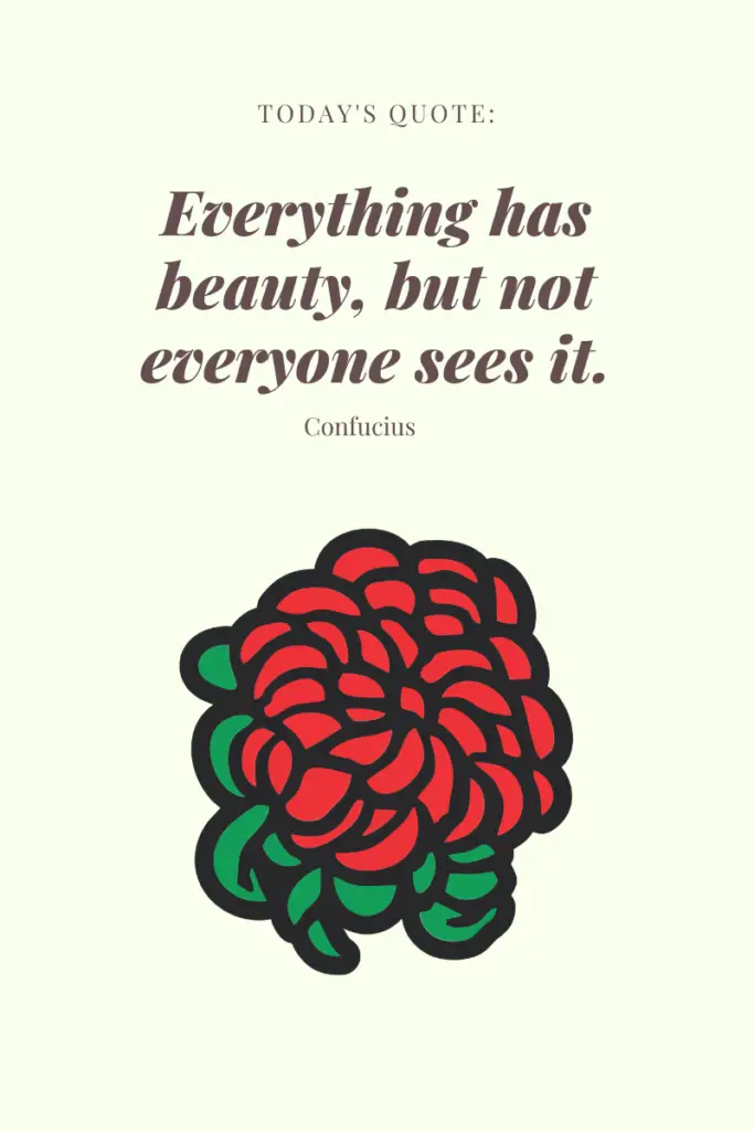 Everything has beauty, but not everyone sees it - Confucius