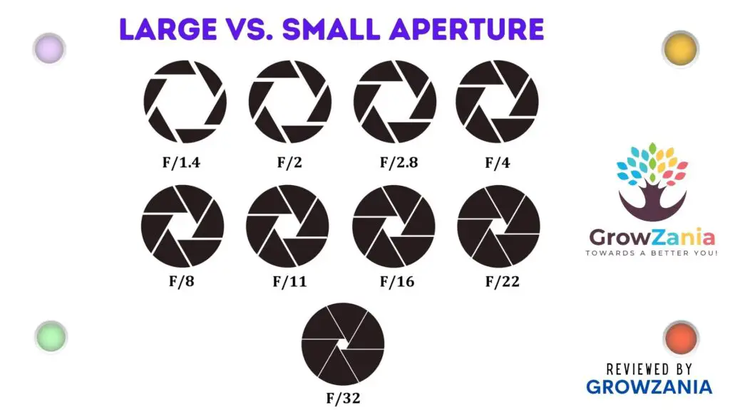 Large vs. Small Aperture in Photography