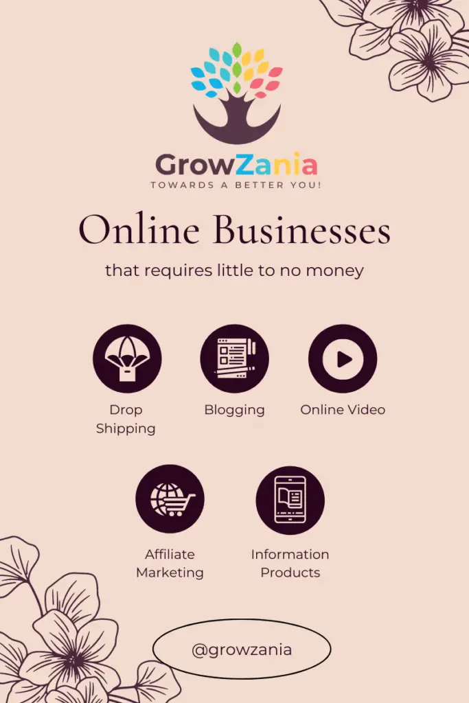 Online businesses that require little to no money - Drop Shipping, Blogging, Online Video, Affiliate Marketing, Information Products