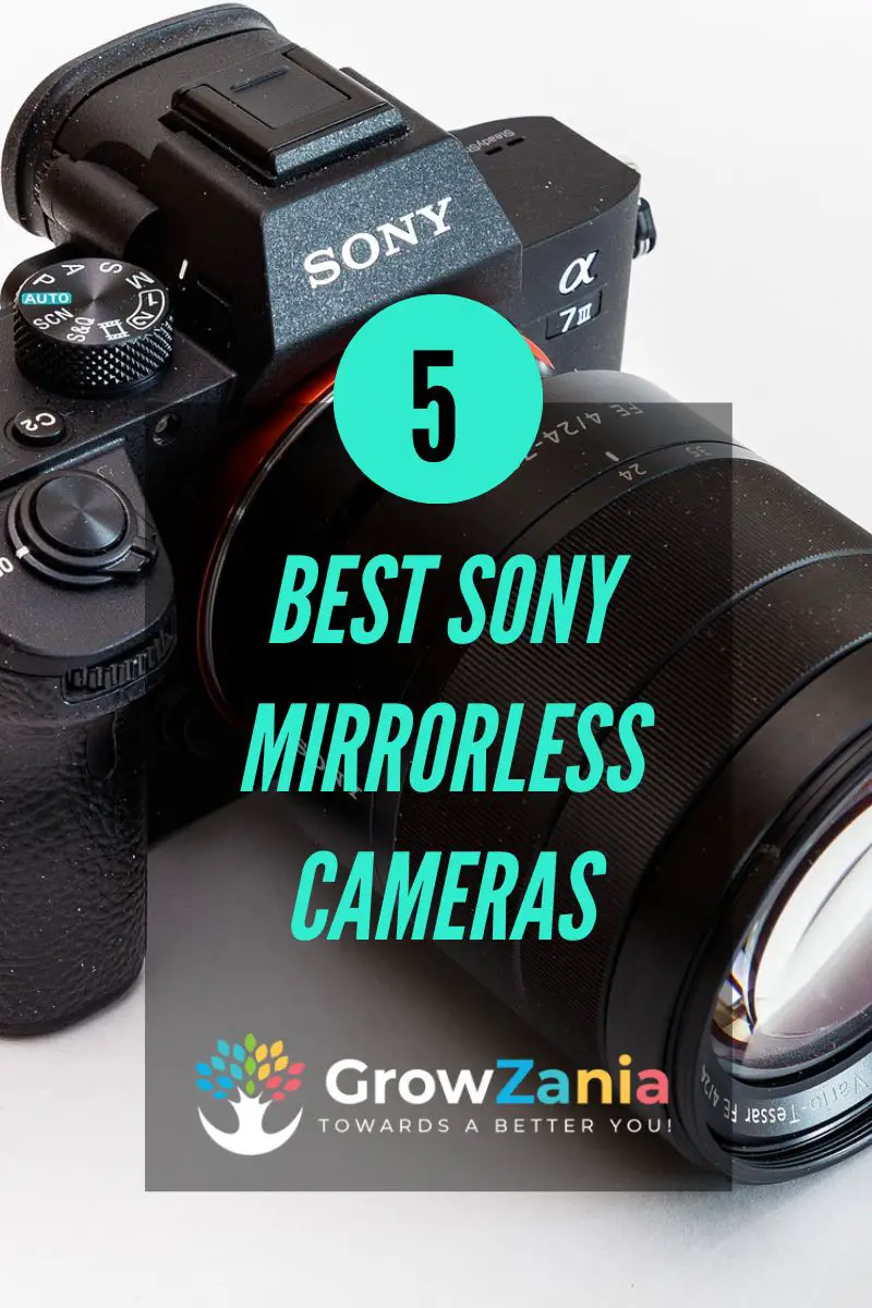 The Best Sony Mirrorless Cameras