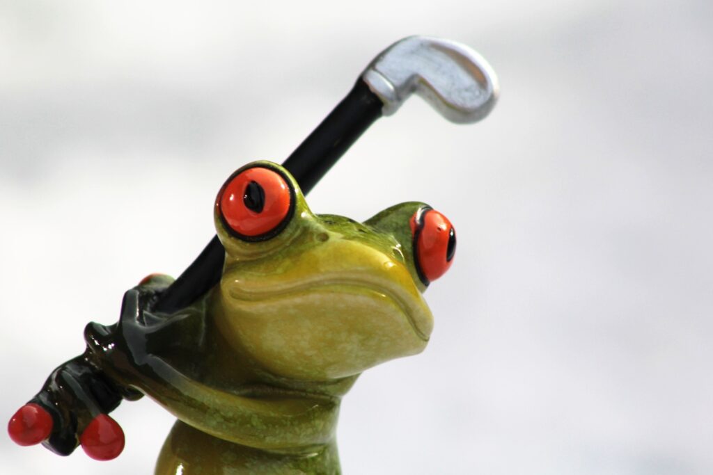 frog, golf, golf clubs
