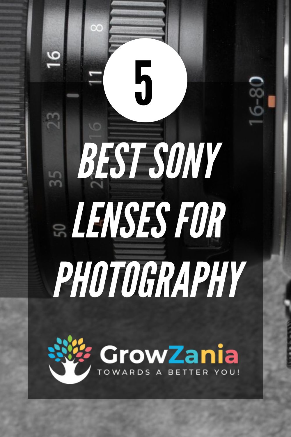 The 5 Best Sony Lenses For Photography In 2024 Growzania